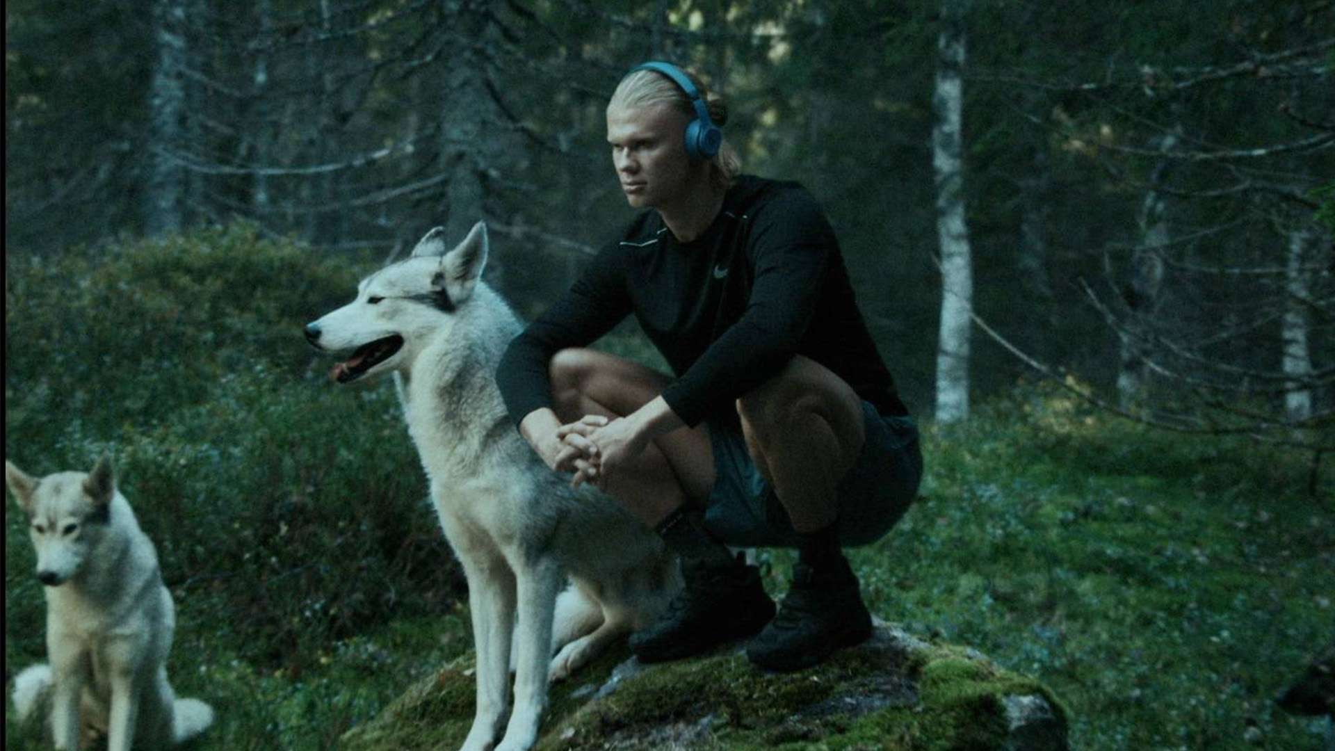 比赛都能引 比赛都能引